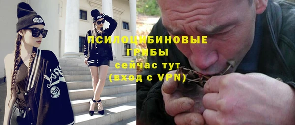 эйфоретик Медногорск