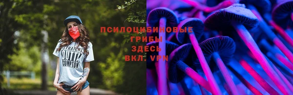 трава Медвежьегорск