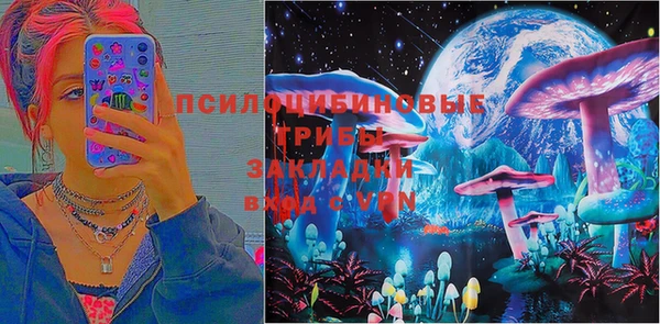 трава Медвежьегорск