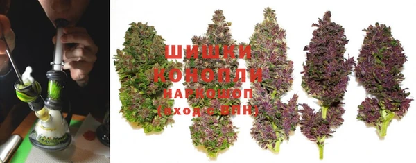 трава Медвежьегорск