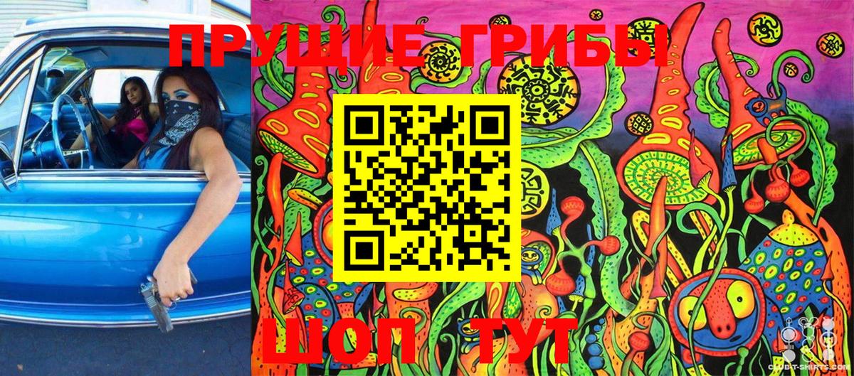 Владимир  Псилоцибиновые грибы Psilocybine cubensis  Псилоцибиновые грибы Cubensis  Вход с VPN 
