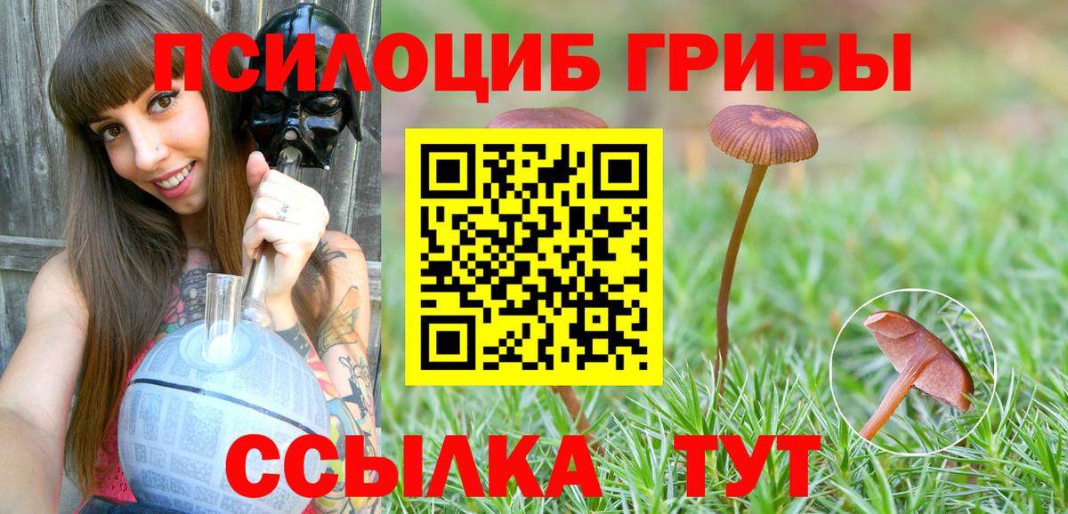 Галлюциногенные грибы мицелий Владимир