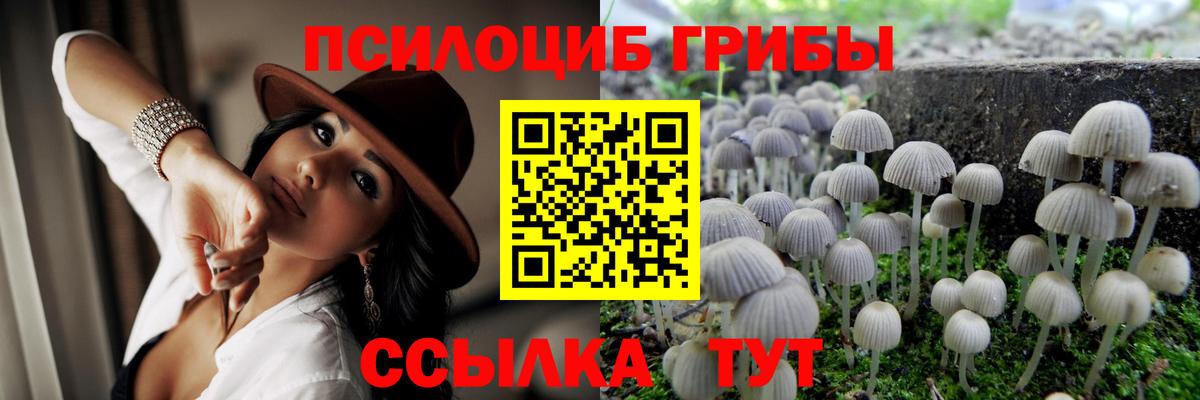 Псилоцибиновые грибы MAGIC MUSHROOMS  Владимир 